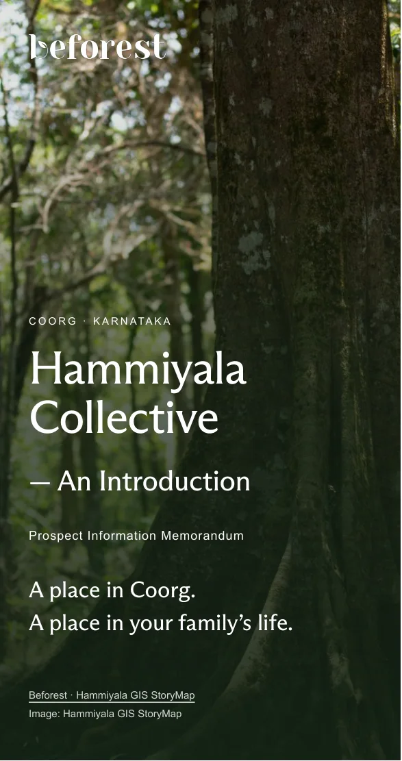 Hammiyala Collective prospect deck, page 1